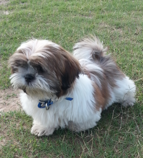 Mi bebé cuando tenía 4 meses todo un top model jaja Mi bebé cuando tenía 4 meses todo un top model jaja